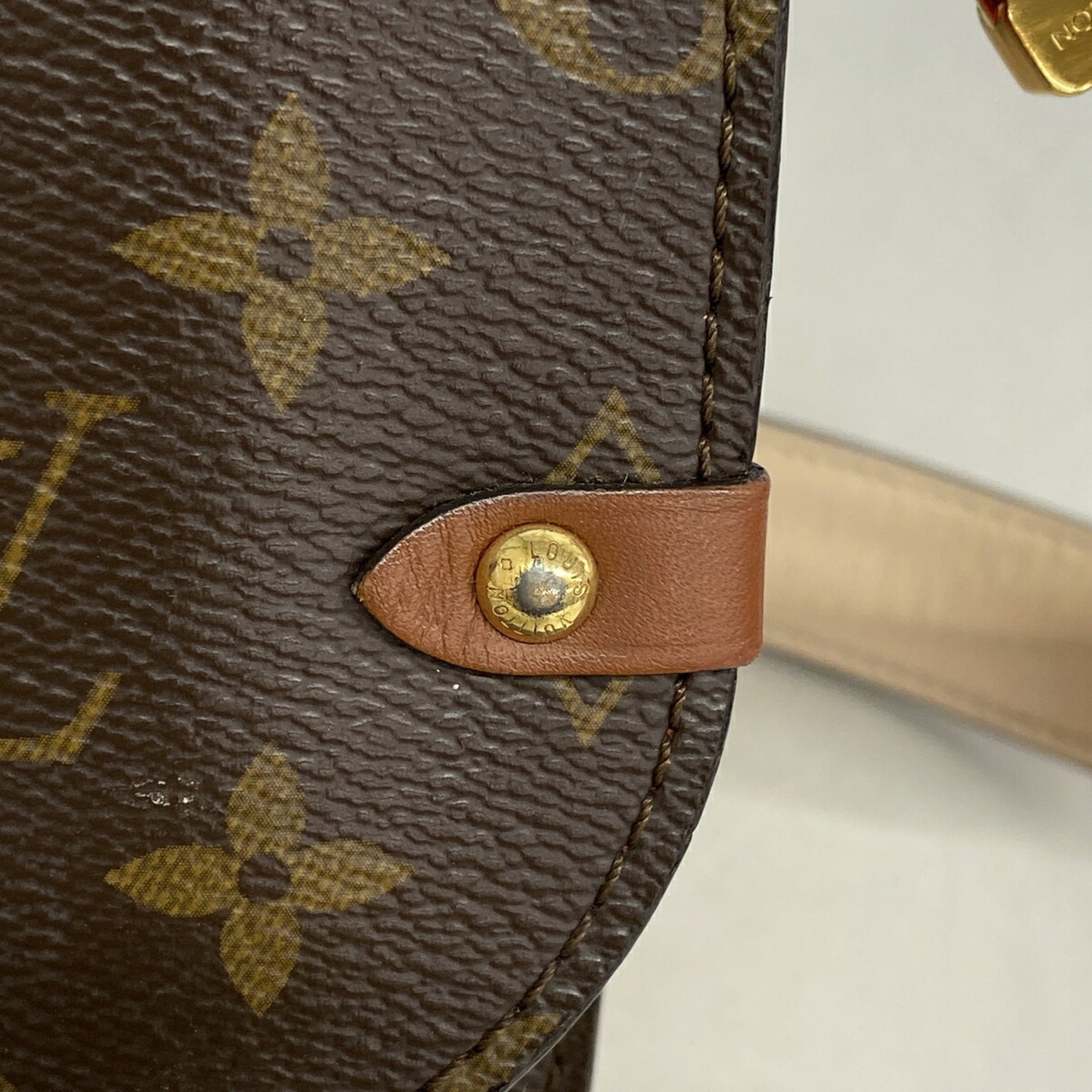 Louis Vuitton Coquelicots Handbag (Pre-Owned)