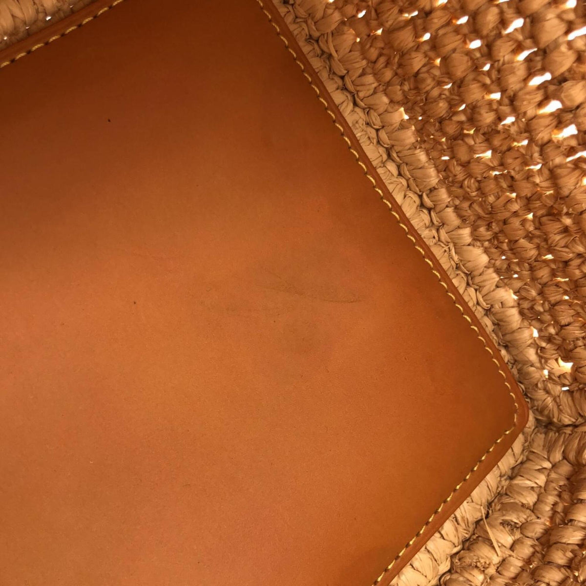 Louis Vuitton Beige Natural Raffia Handbag (Pre-Owned)