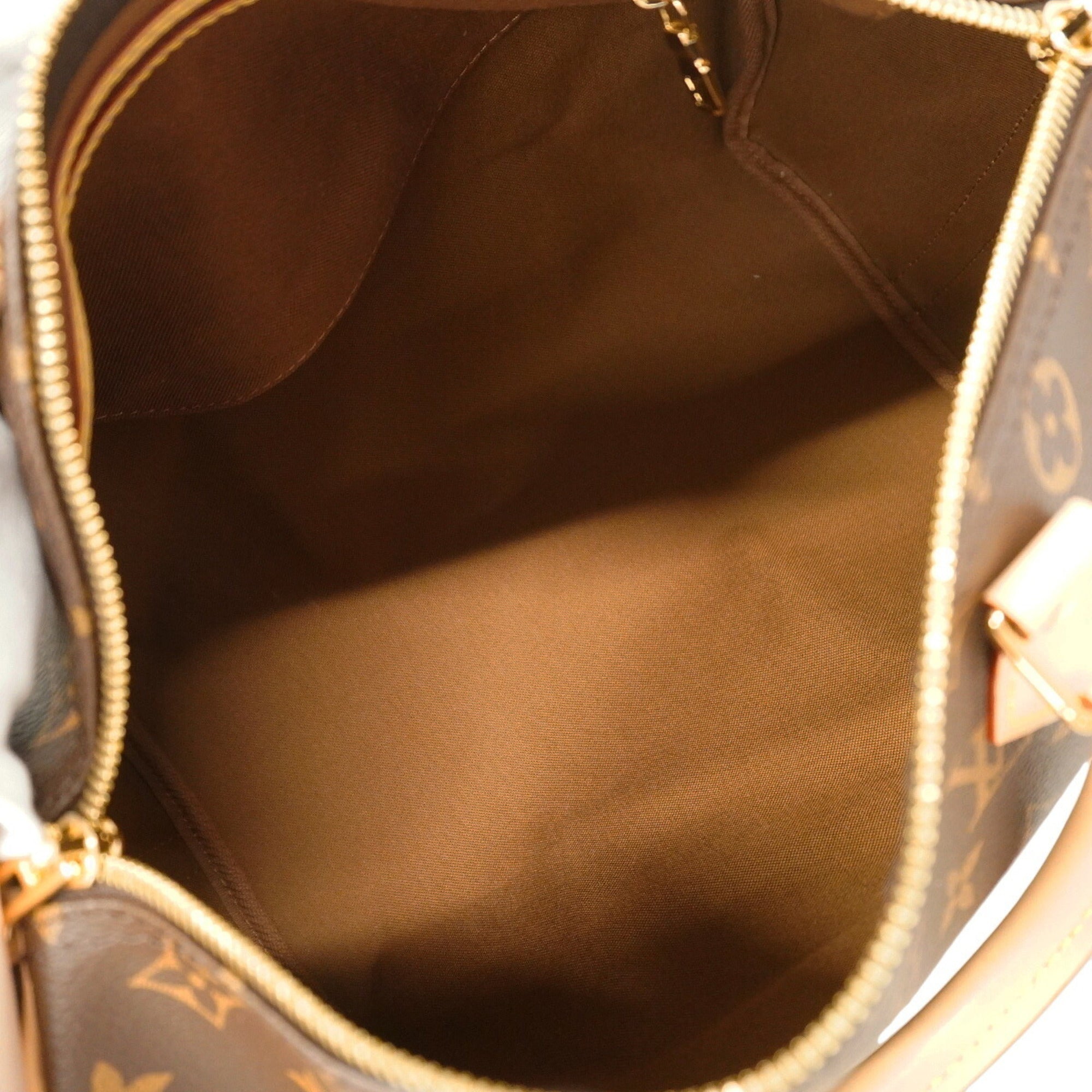 Louis Vuitton Brown Handbag (Pre-Owned)