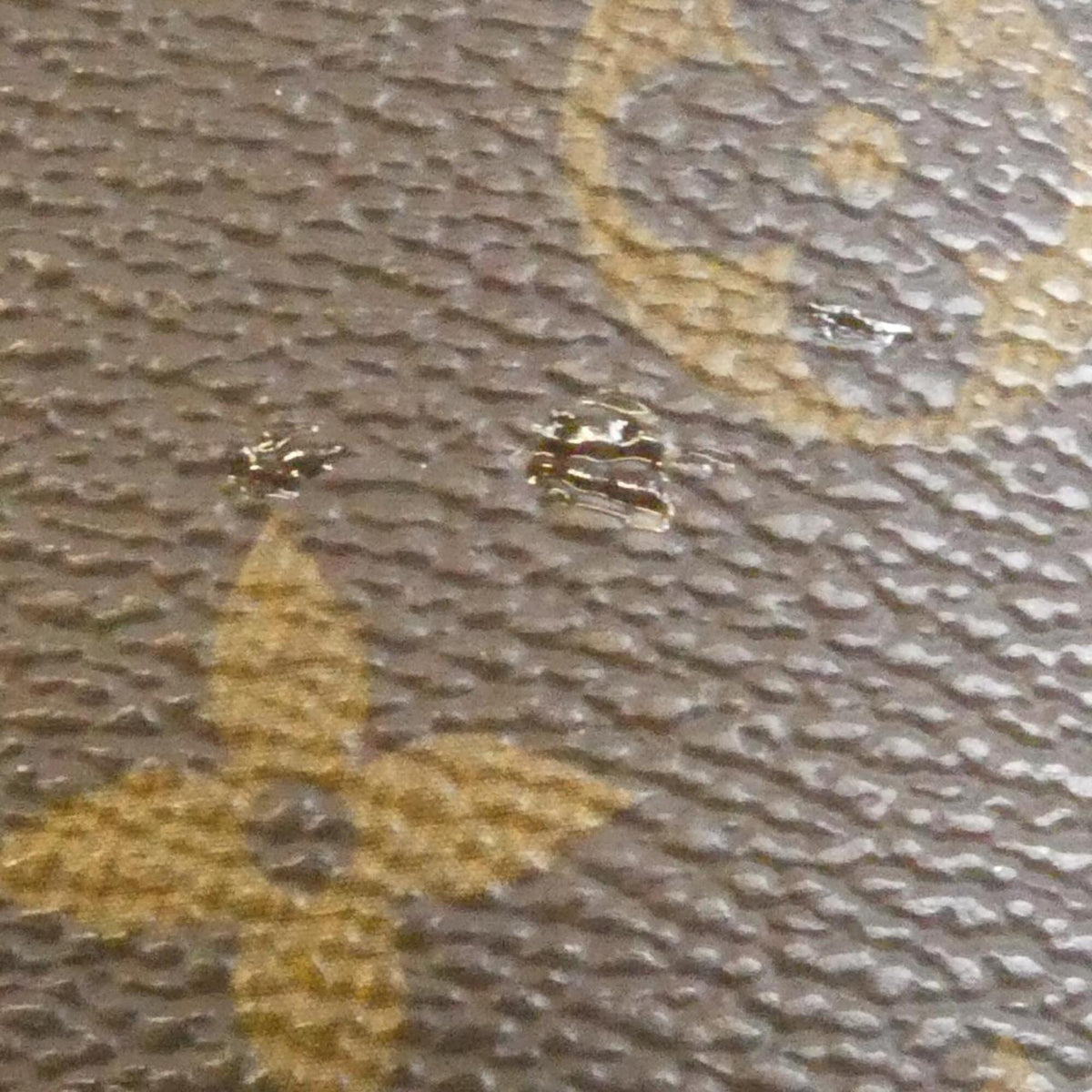 Louis Vuitton Marron Monogram Monogram Handbag (Pre-Owned)