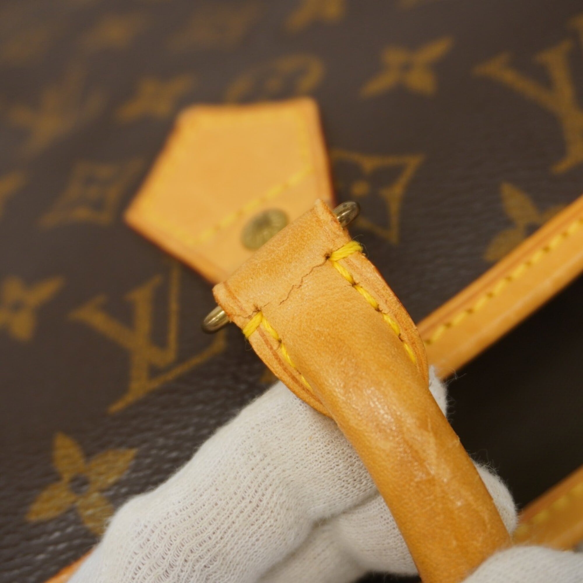 Louis Vuitton Brown Garment Case (Pre-Owned)