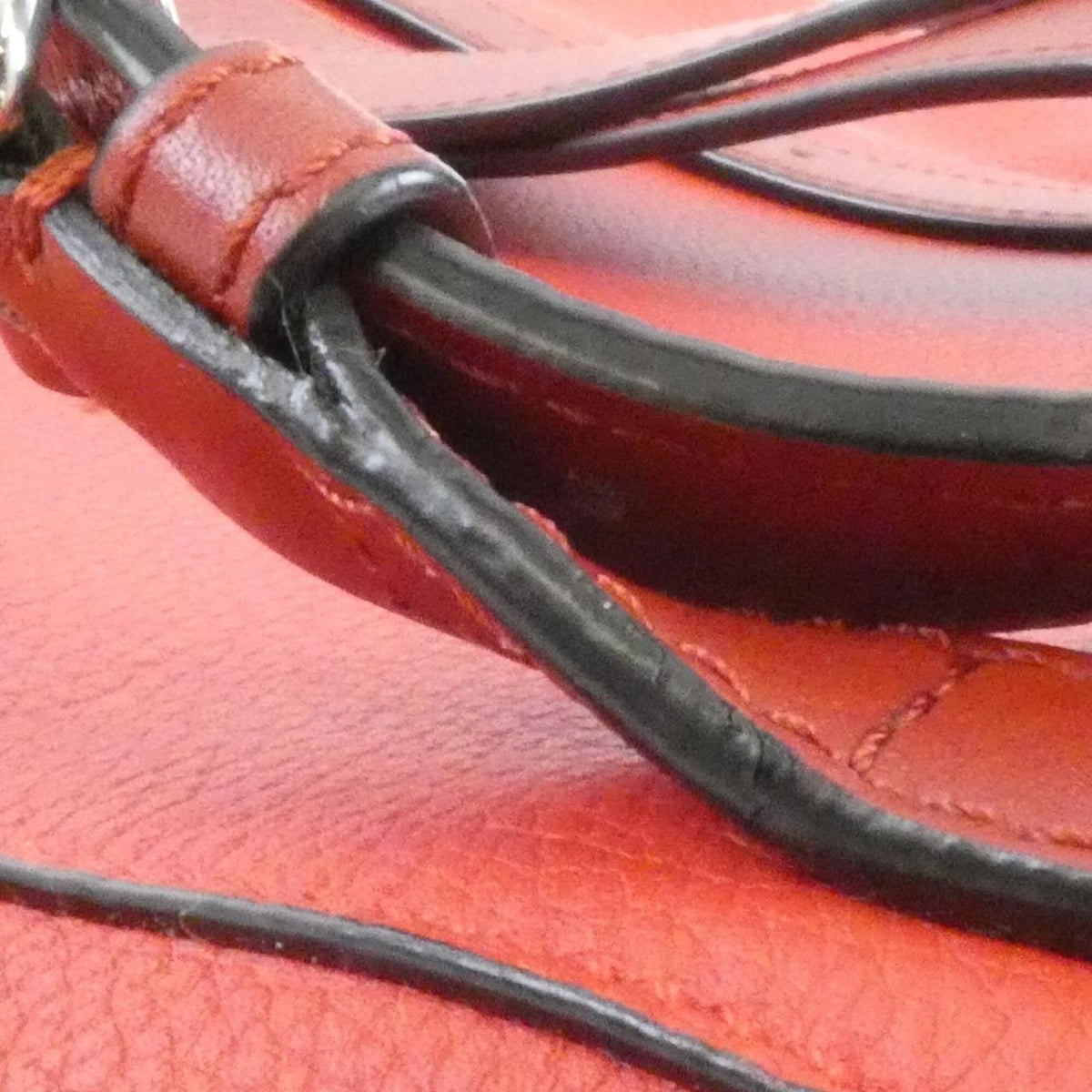 Loewe Red Color Leather Backpack (Pre-Owned)