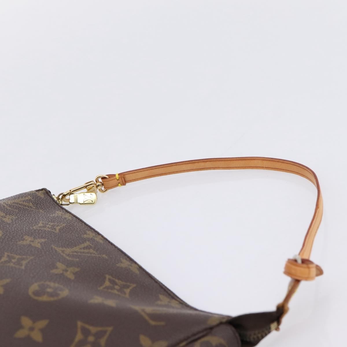 Louis Vuitton Pochette Accessoires Nm Monogram Canvas Brown Canvas Clutche & Pouche Bag (Pre-Owned)