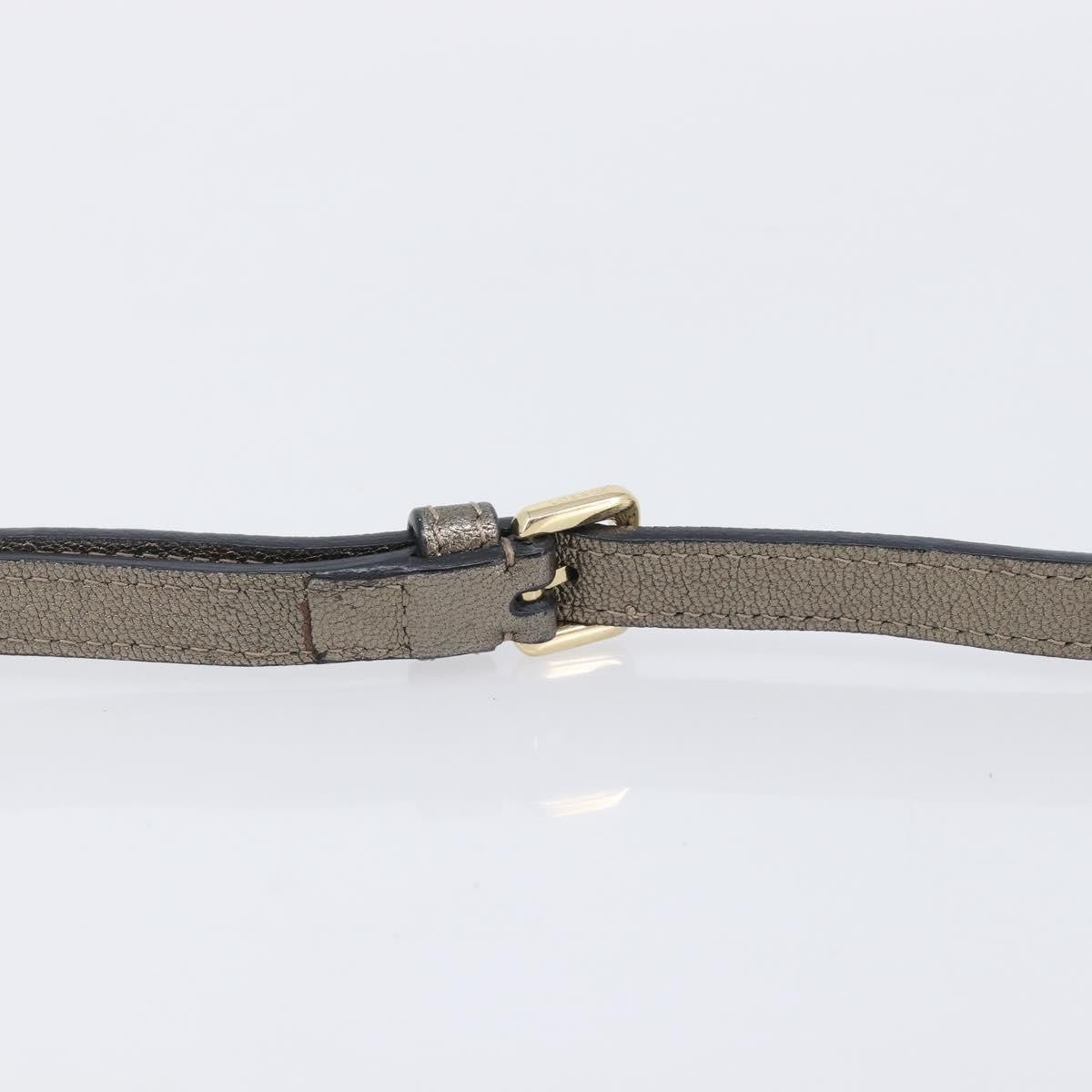 Loewe Front Pocket Leather Gold Leather Crossbody Bag Bag (Pre-Owned)