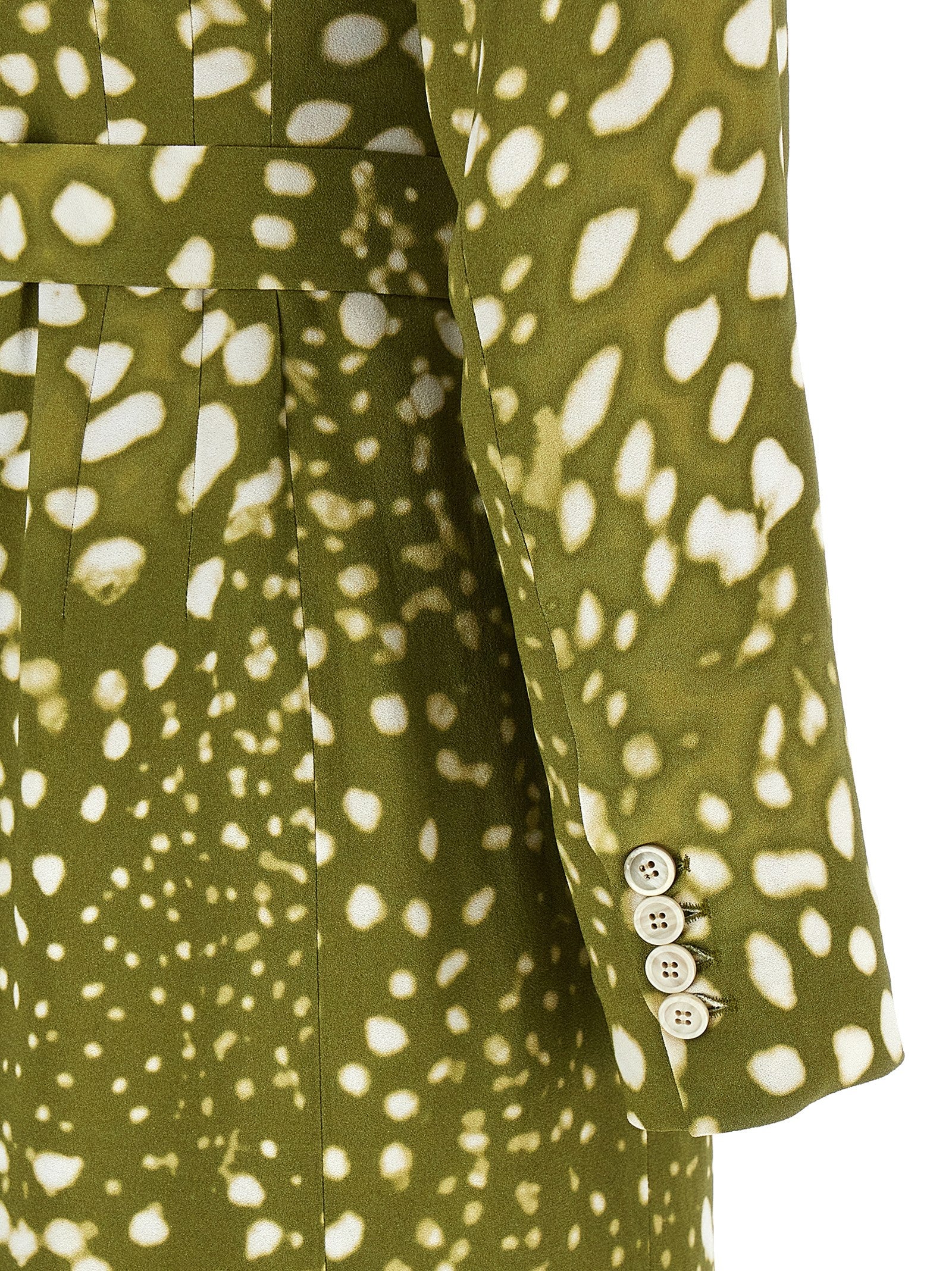 Dries Van Noten Women's Dohana Dress