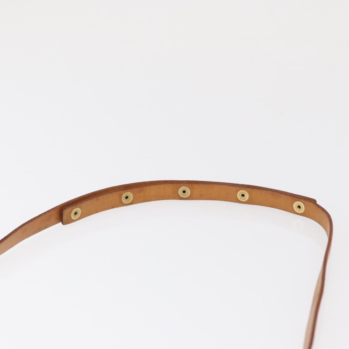 Louis Vuitton Florentine Waist Monogram Canvas Brown Canvas Handbag (Pre-Owned)