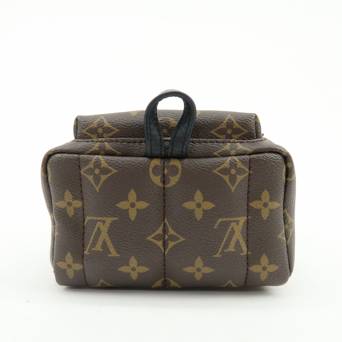 Louis Vuitton Palm Springs Monogram Canvas Brown Canvas Backpack Bag (Pre-Owned)