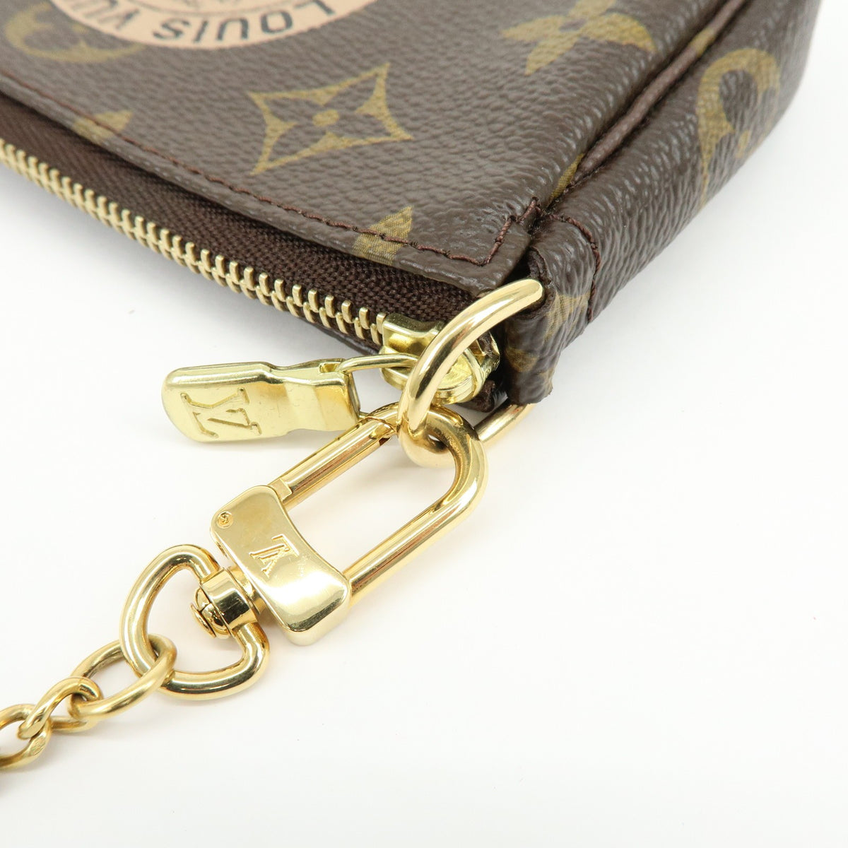 Louis Vuitton Pochette Accessoires Limited Edition Monogram Canvas Brown Canvas Clutche & Pouche Bag (Pre-Owned)