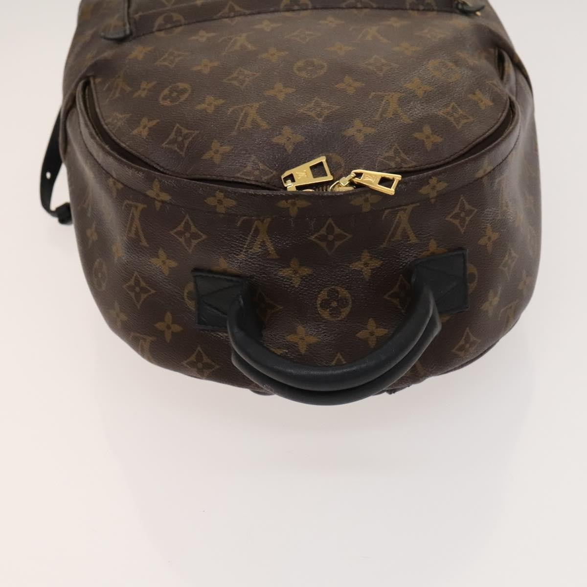 Louis Vuitton Palm Springs Monogram Canvas Brown Canvas Backpack Bag (Pre-Owned)