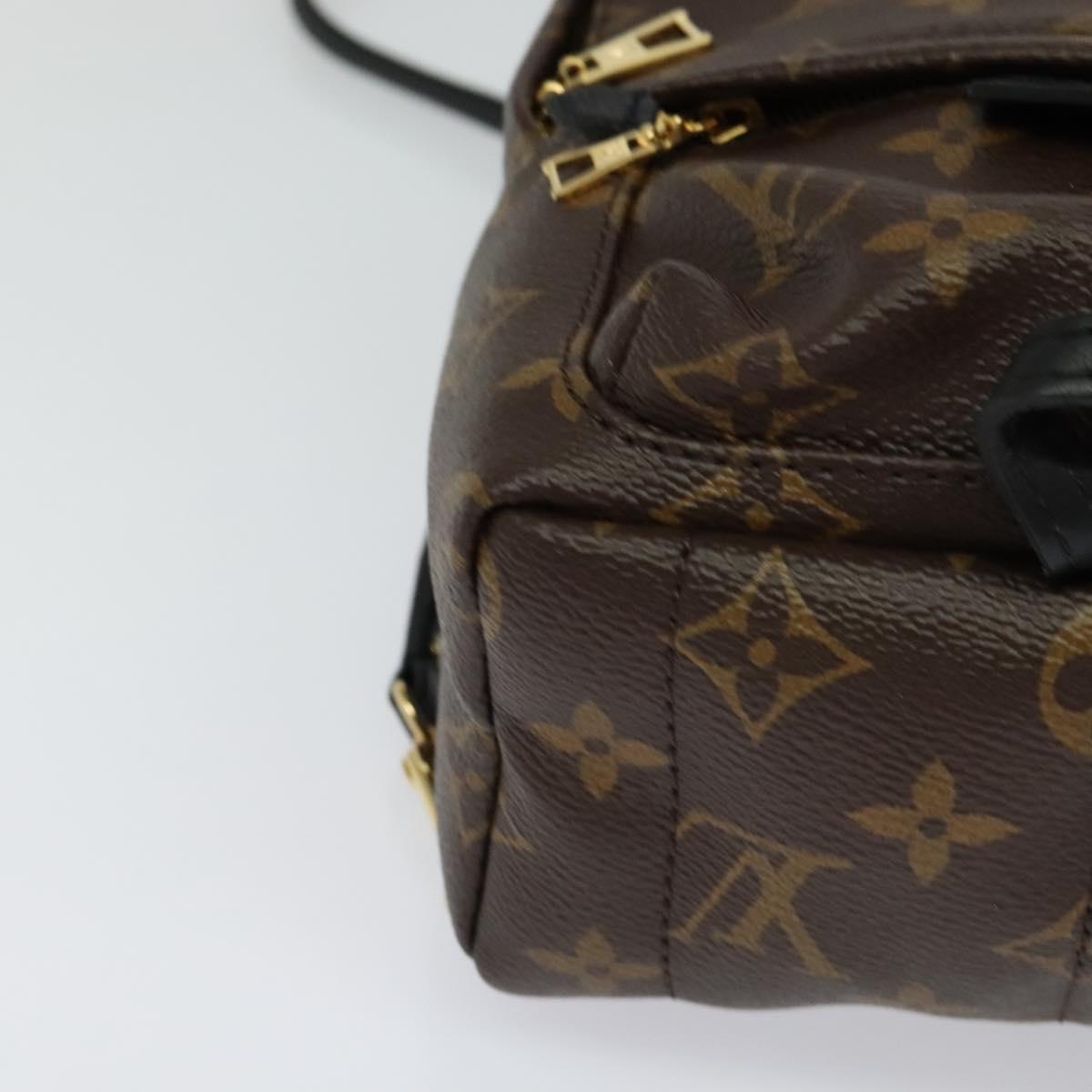 Louis Vuitton Palm Springs Monogram Canvas Brown Canvas Backpack Bag (Pre-Owned)