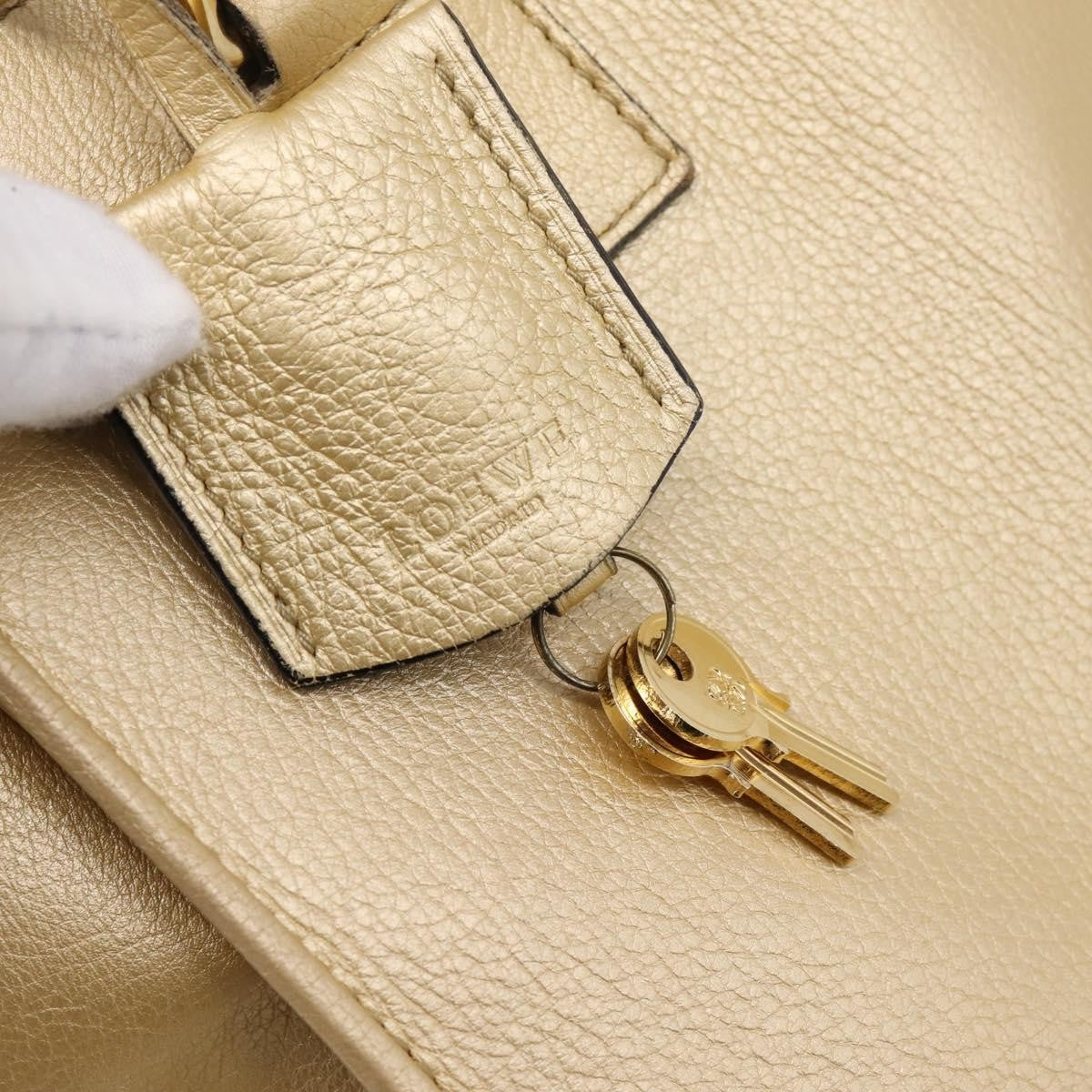 Loewe Amazona Leather Gold Leather Handbag (Pre-Owned)