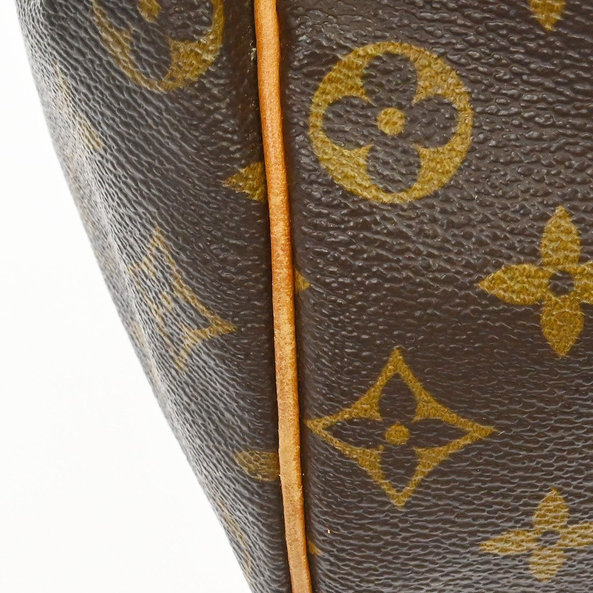 Louis Vuitton Speedy Monogram Canvas Brown Canvas Handbag (Pre-Owned)