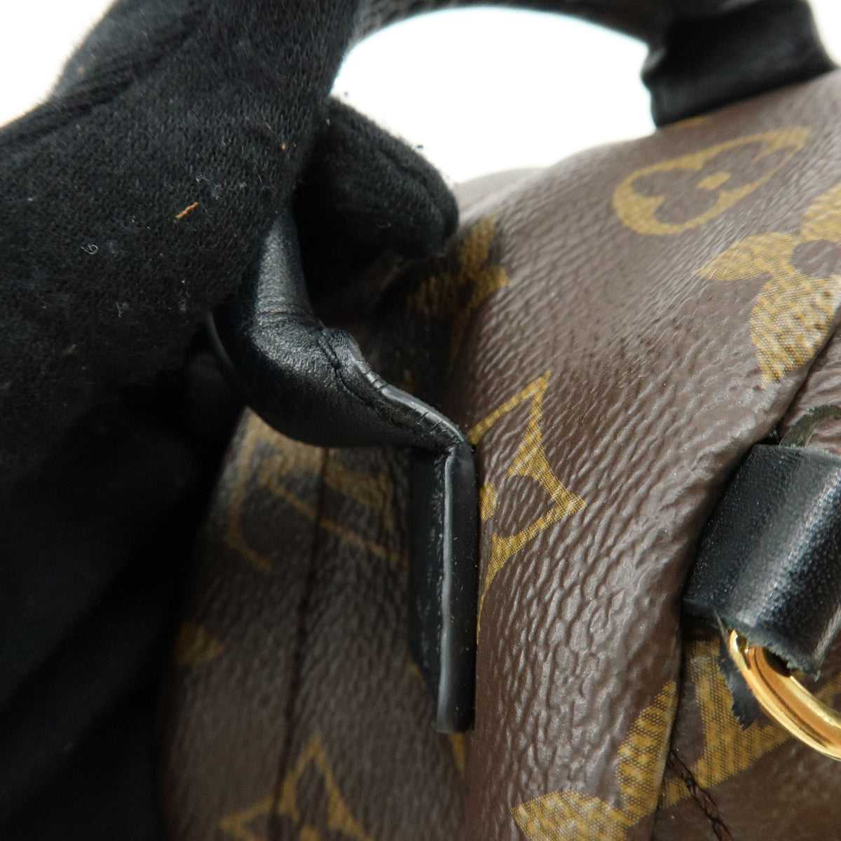 Louis Vuitton Palm Springs Monogram Canvas Brown Canvas Backpack Bag (Pre-Owned)