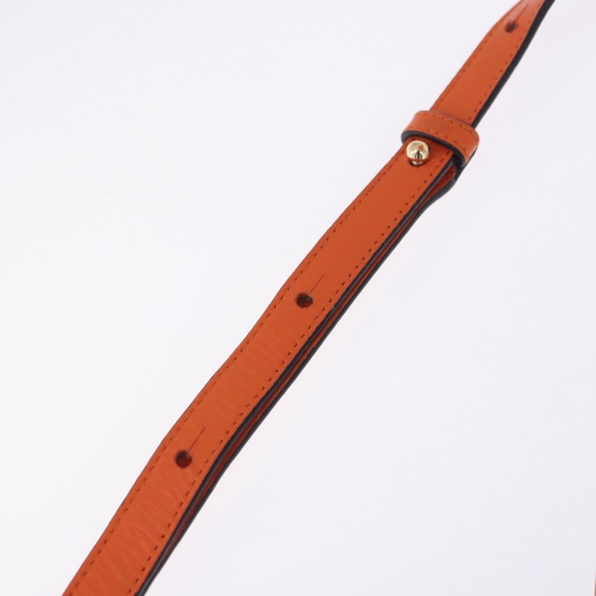 Loewe T Messenger Leather Orange Leather Crossbody Bag Bag (Pre-Owned)