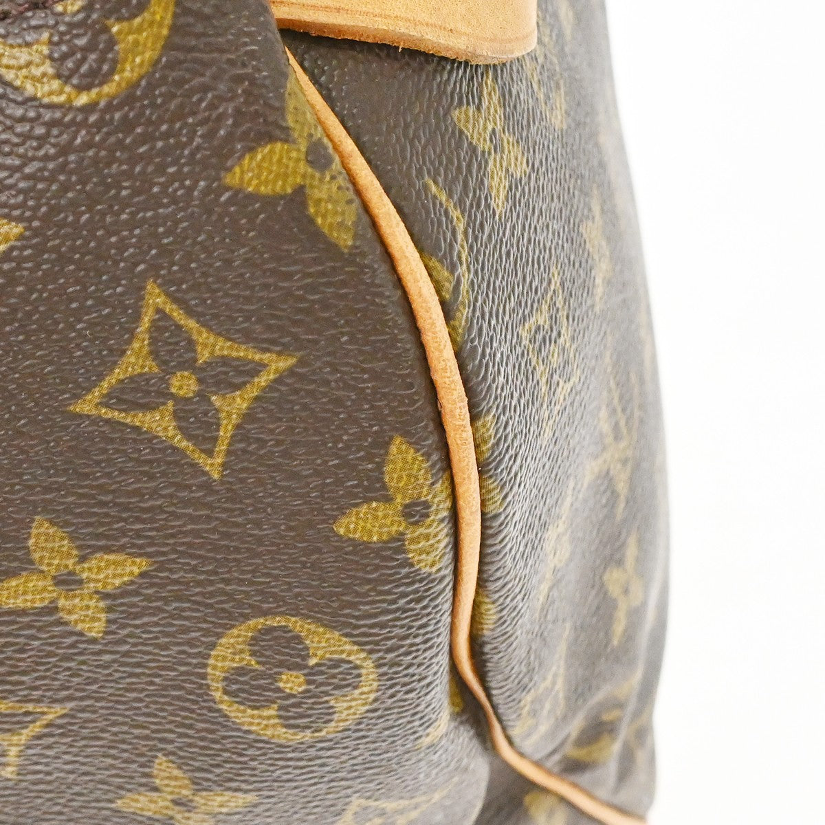 Louis Vuitton Speedy Monogram Canvas Brown Canvas Handbag (Pre-Owned)