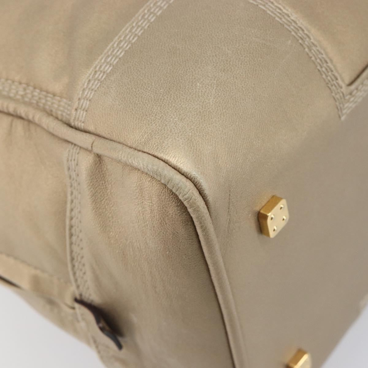 Loewe Amazona Leather Gold Leather Handbag (Pre-Owned)
