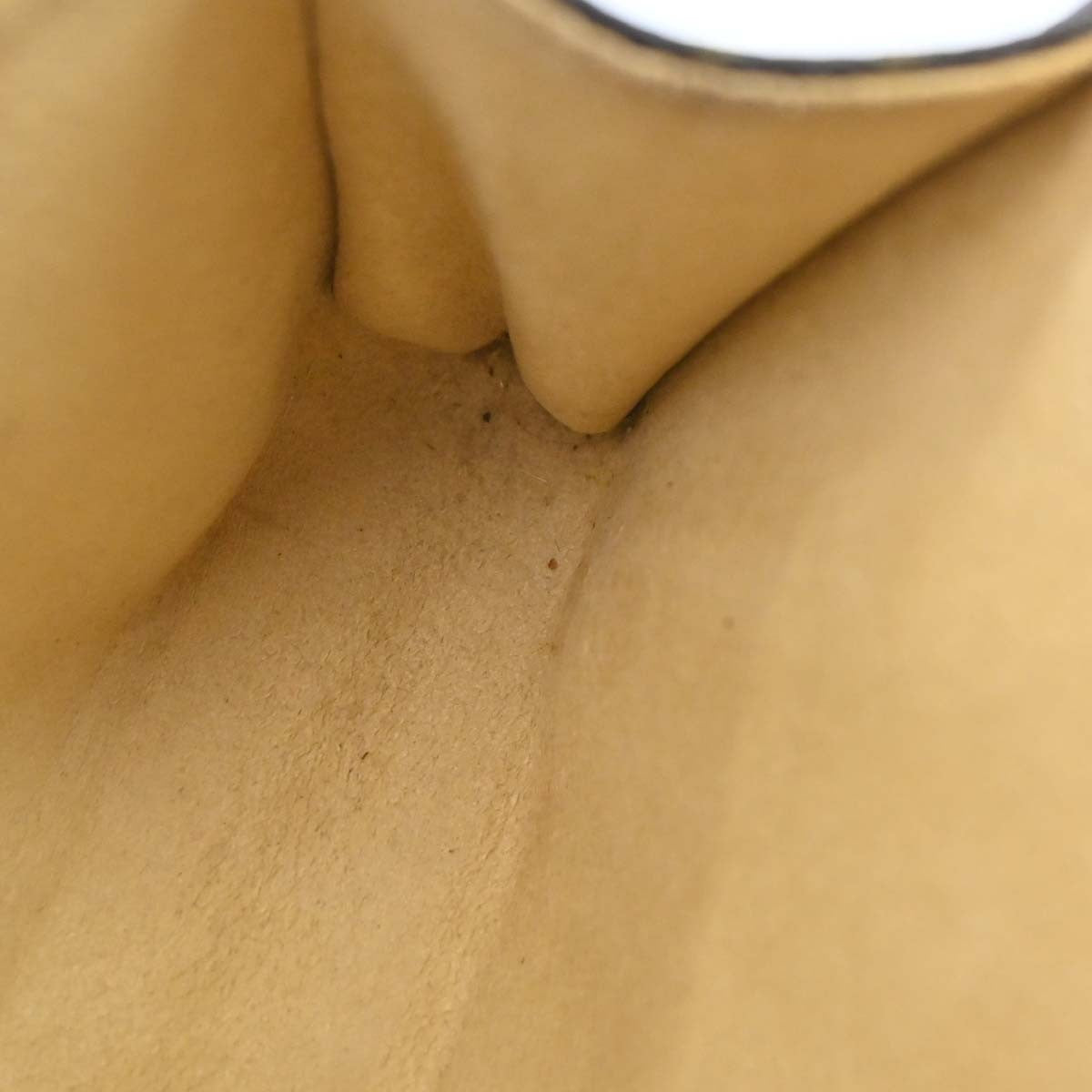 Louis Vuitton Florentine Waist Monogram Canvas Brown Canvas Clutche & Pouche Bag (Pre-Owned)
