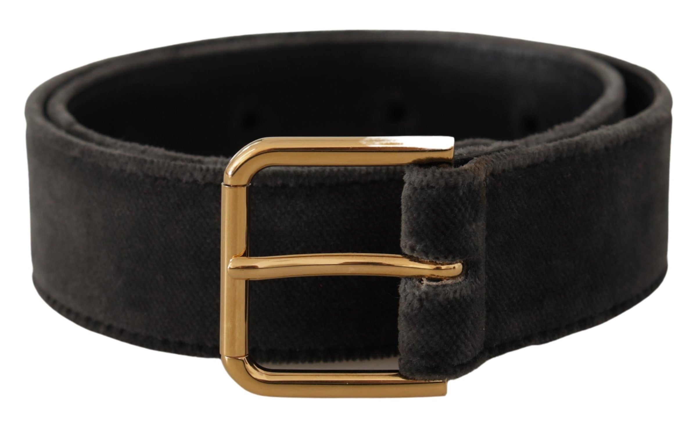 Dolce & Gabbana Brown Velvet Gold Tone Logo Metal Waist Buckle Women's Belt