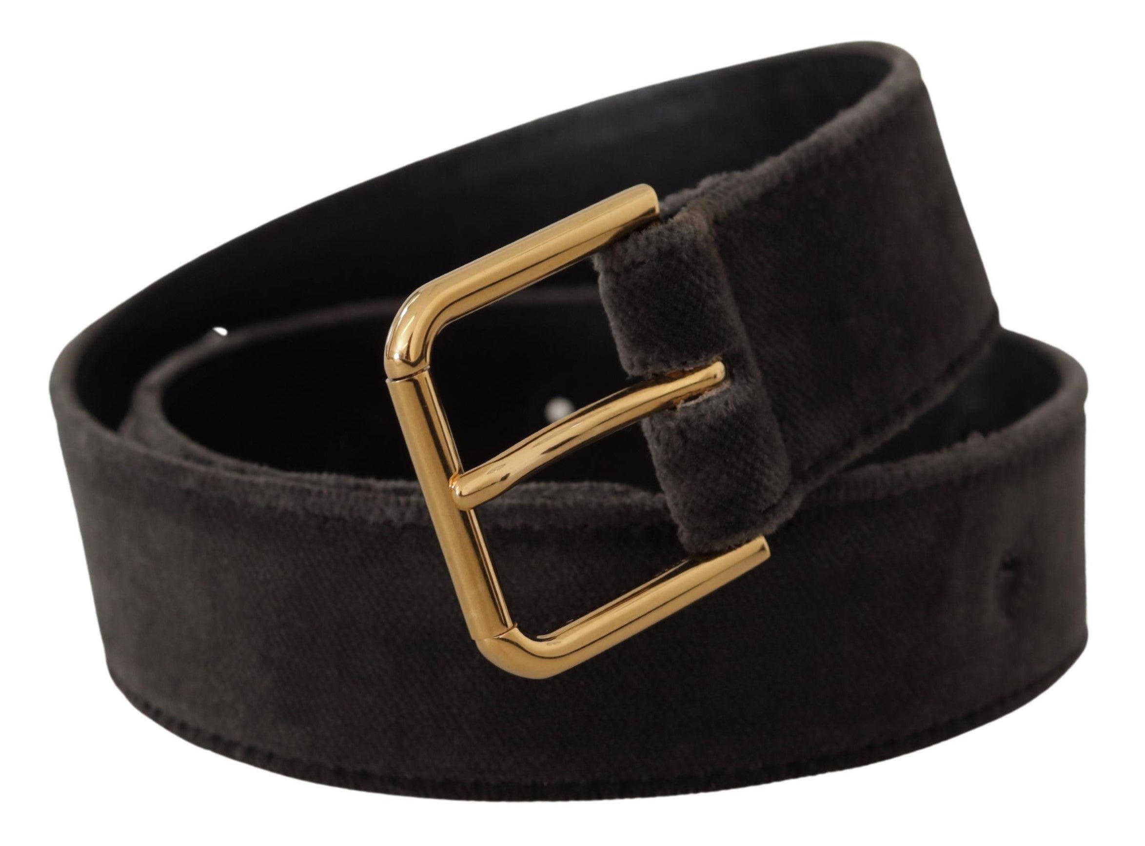 Dolce & Gabbana Brown Velvet Gold Tone Logo Metal Waist Buckle Women's Belt