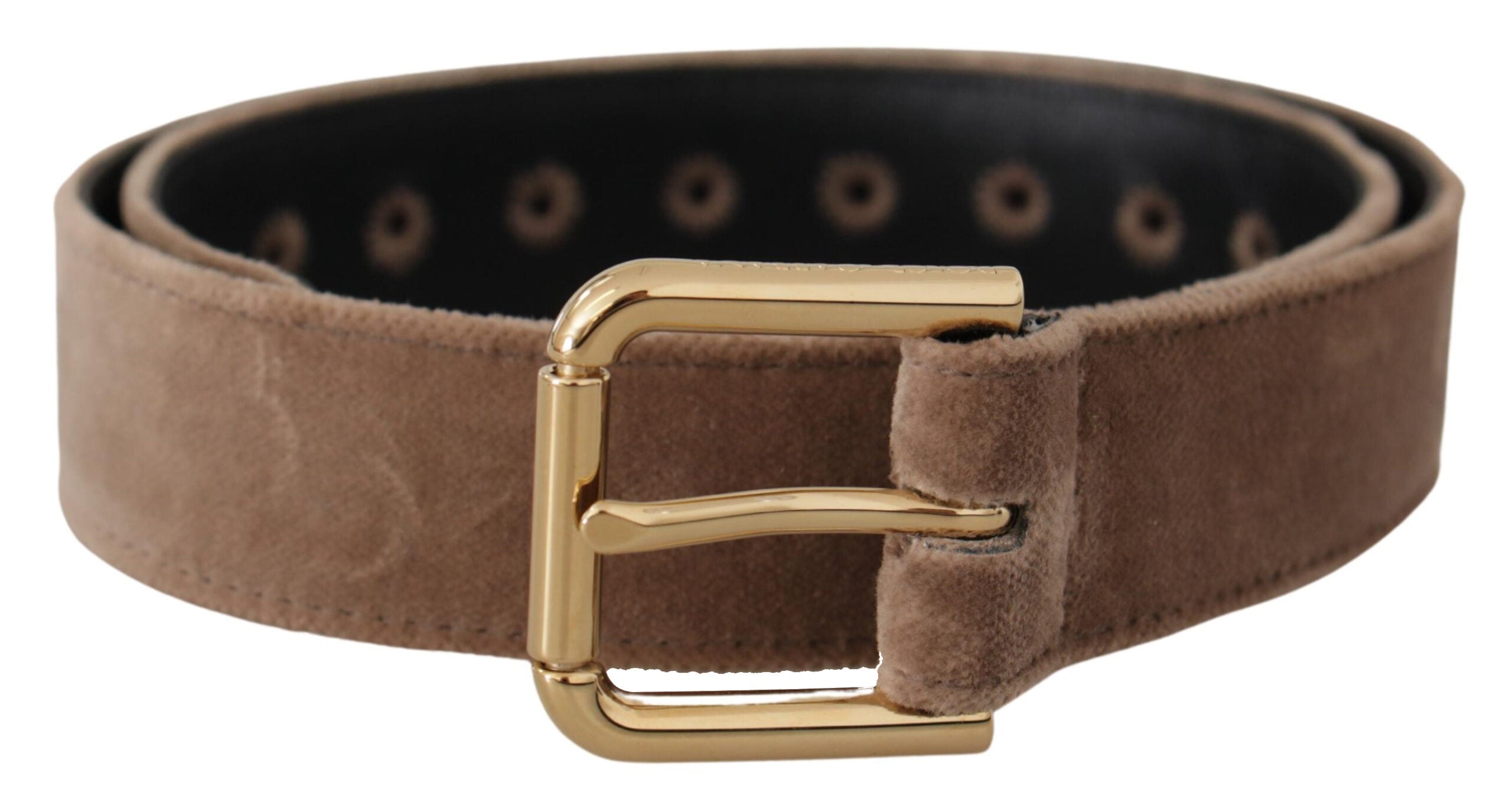 Dolce & Gabbana Elegant Velvet Logo Buckle Women's Belt