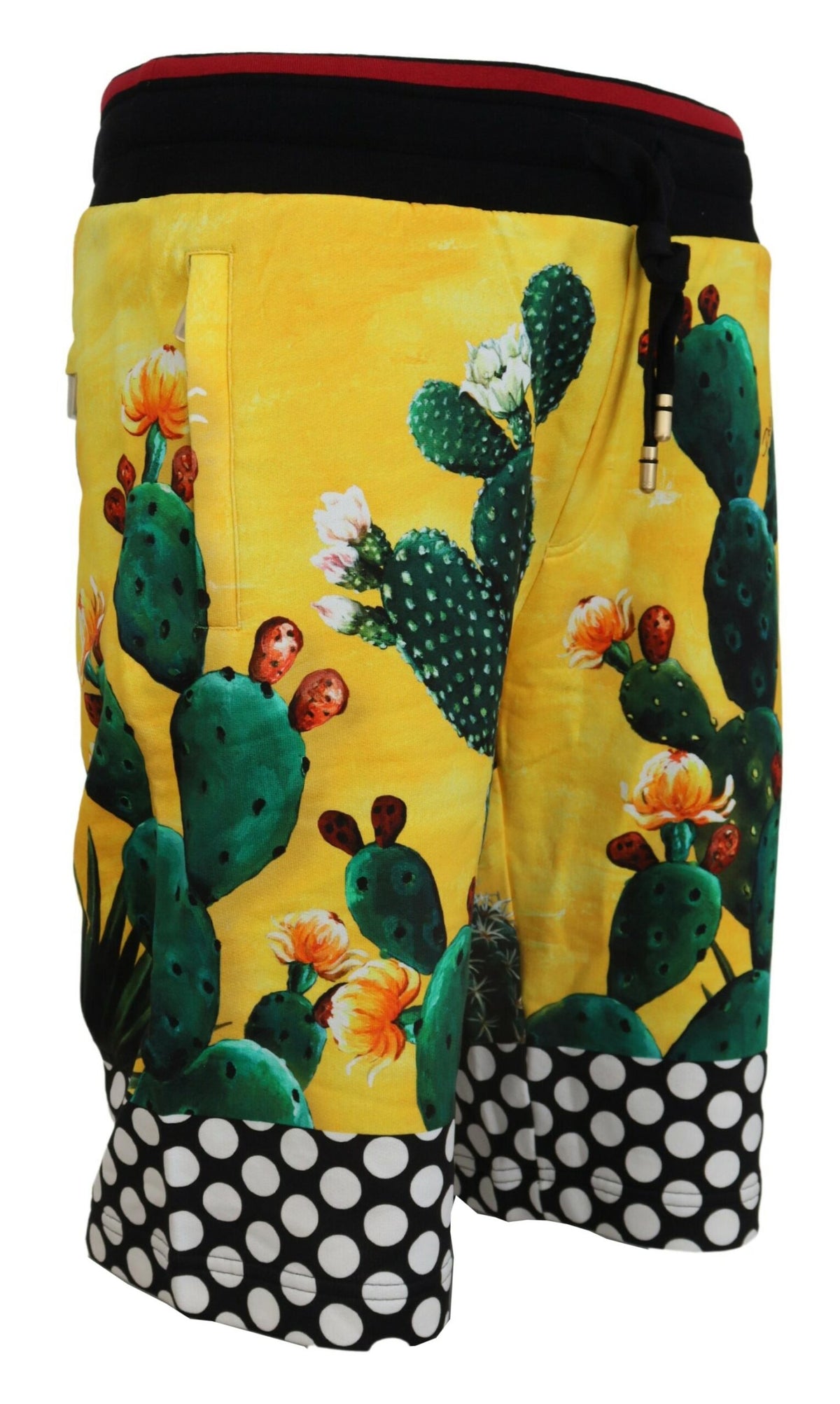 Dolce & Gabbana Multicolor Cactus Print Cotton Sweat Men's Shorts
