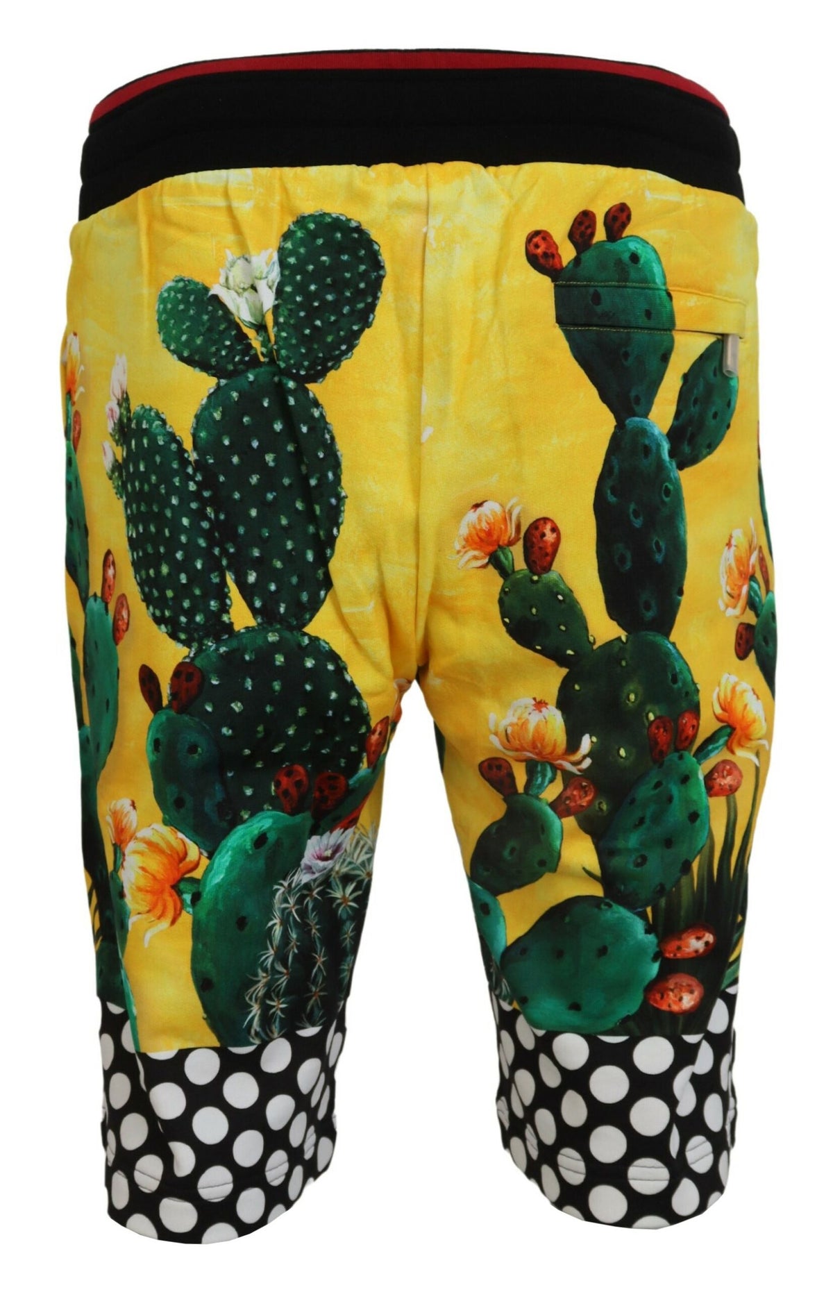 Dolce & Gabbana Multicolor Cactus Print Cotton Sweat Men's Shorts
