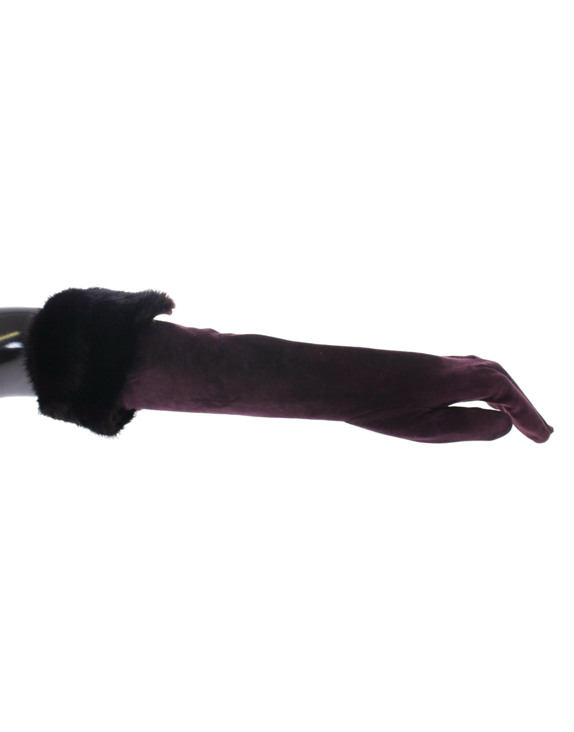 Dolce & Gabbana Elegant Elbow Length Purple Fur Women's Gloves