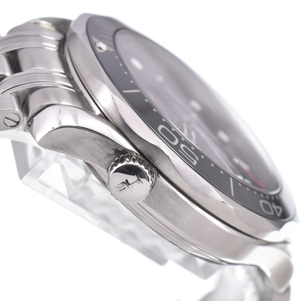Omega Seamaster Professional Diver 300M Co-Axial Chronometer Automatic Stainless Steel Watch (Pre-Owned)