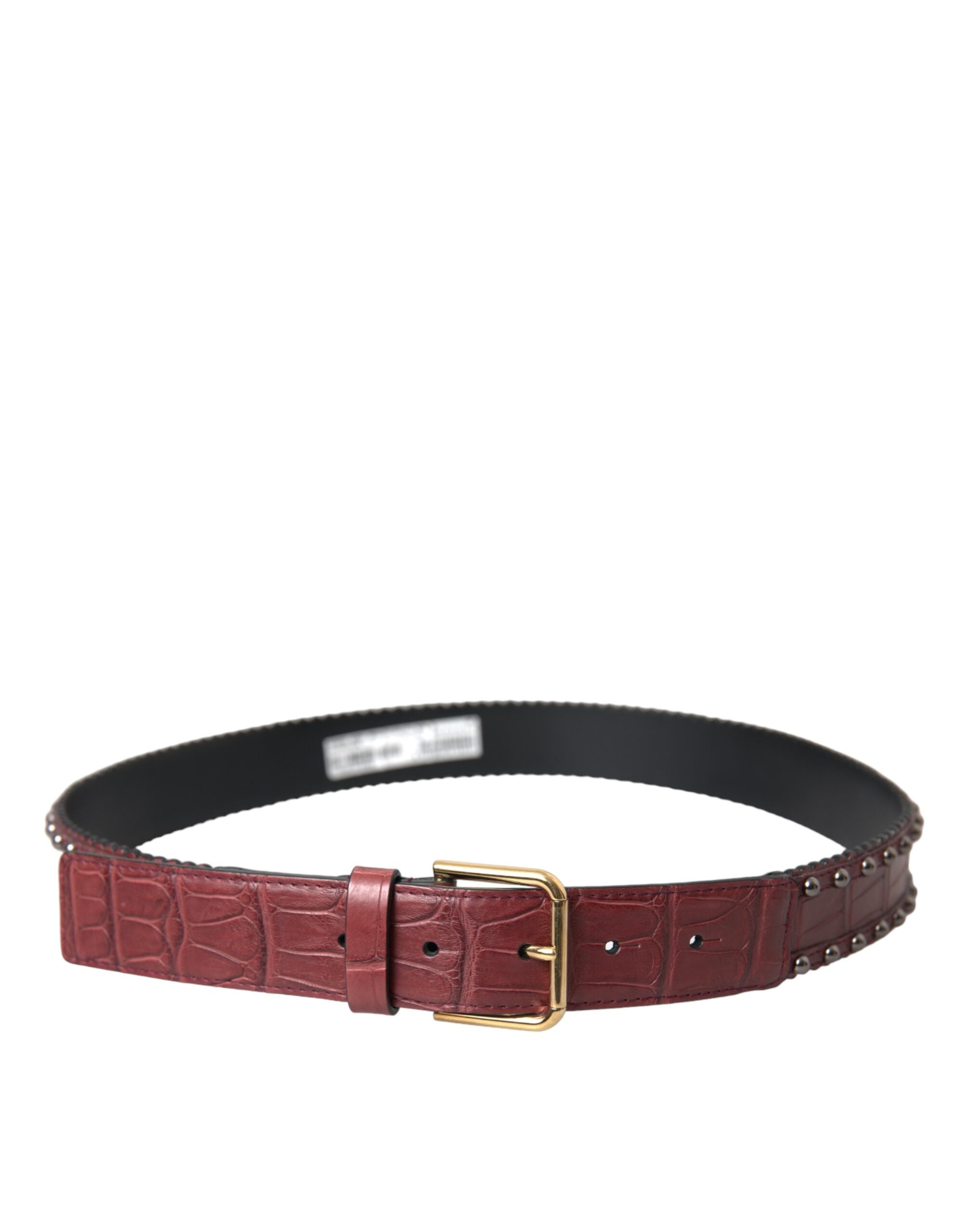Dolce & Gabbana Brown Alligator Leather Studded Metal Buckle Women's Belt