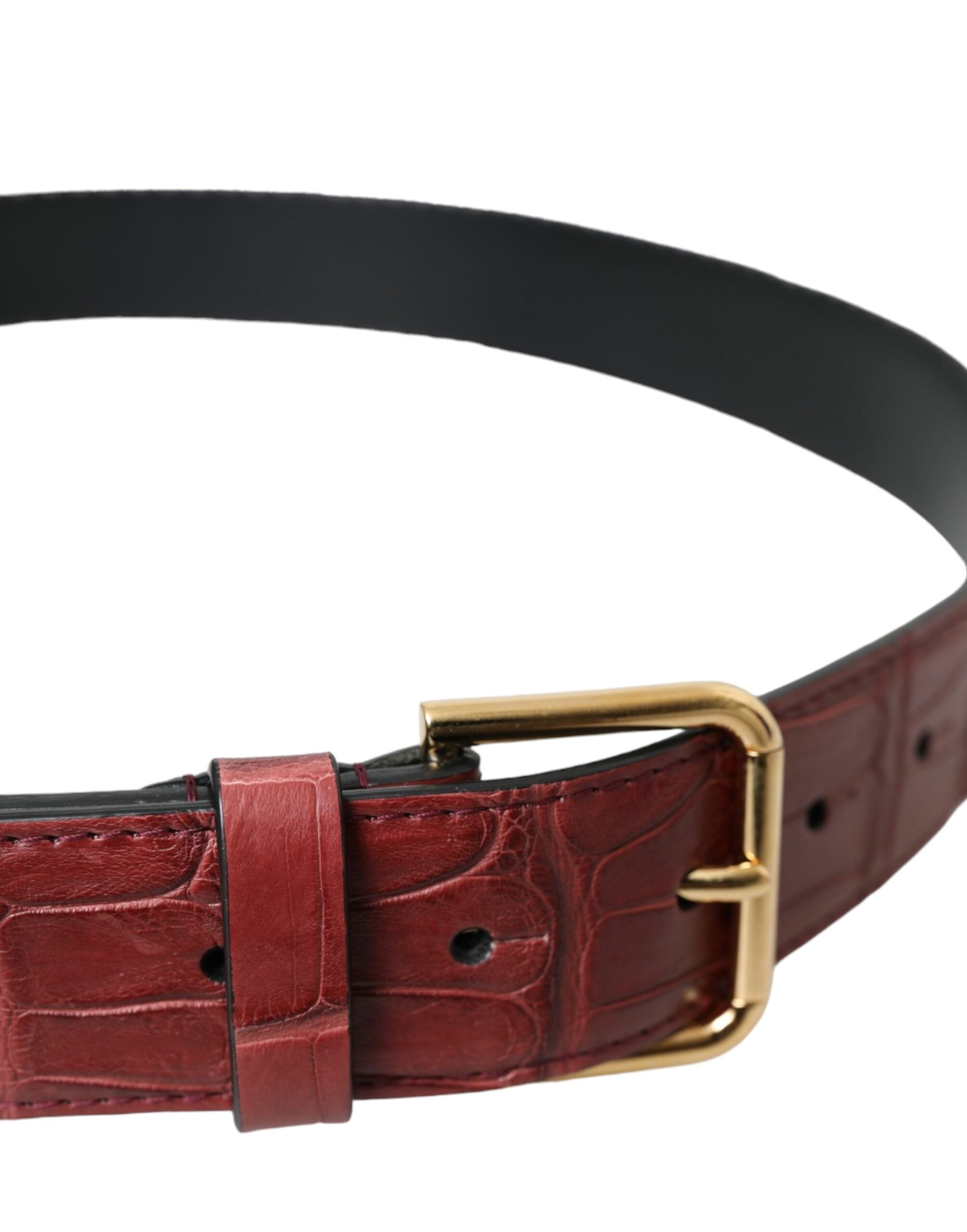 Dolce & Gabbana Brown Alligator Leather Studded Metal Buckle Women's Belt