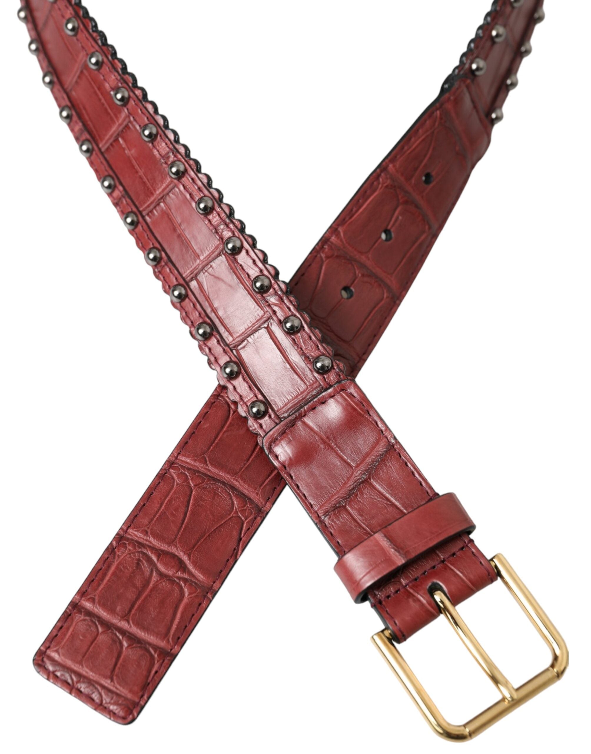Dolce & Gabbana Brown Alligator Leather Studded Metal Buckle Women's Belt