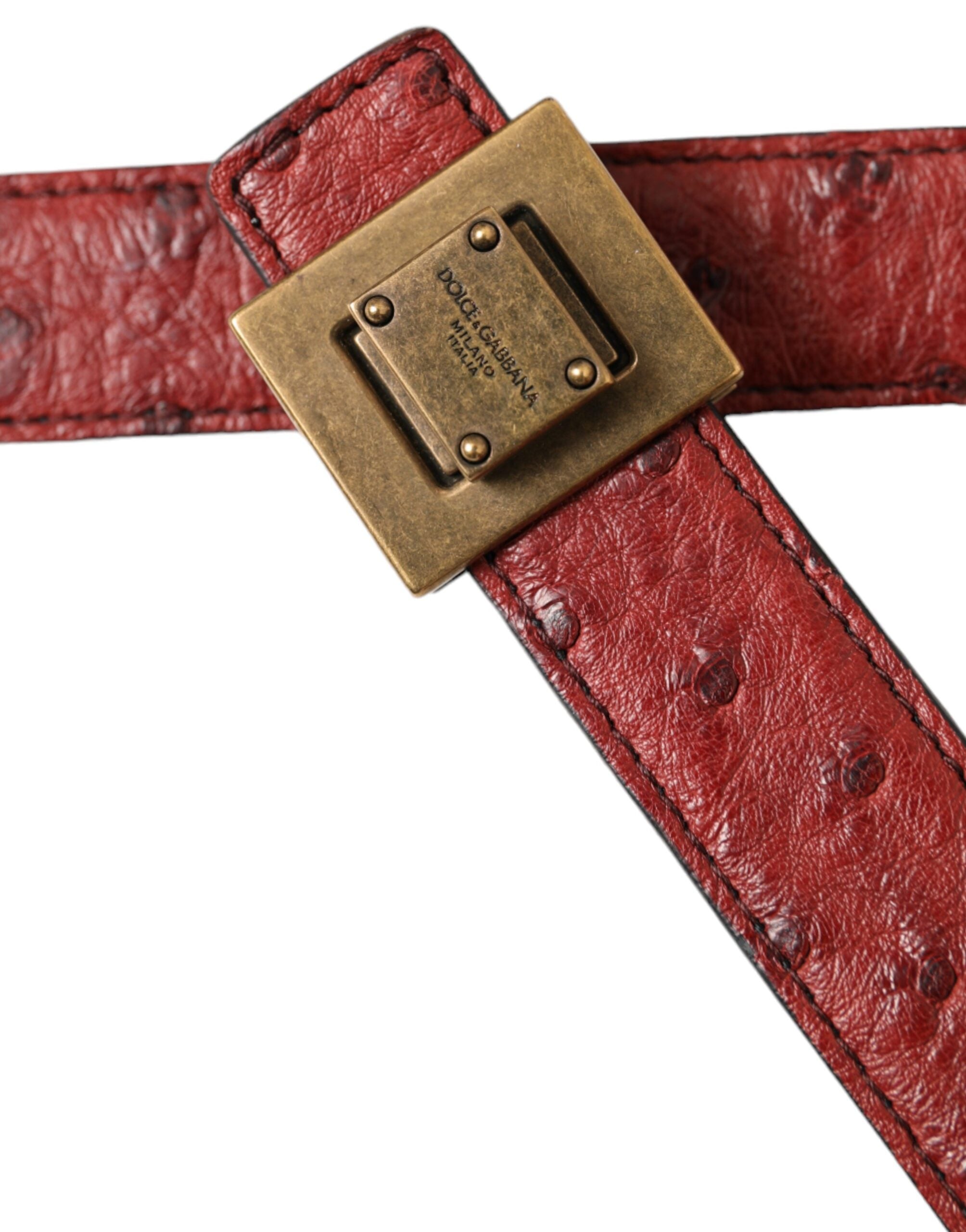 Dolce & Gabbana Brown Leather Square Metal Buckle Women's Belt