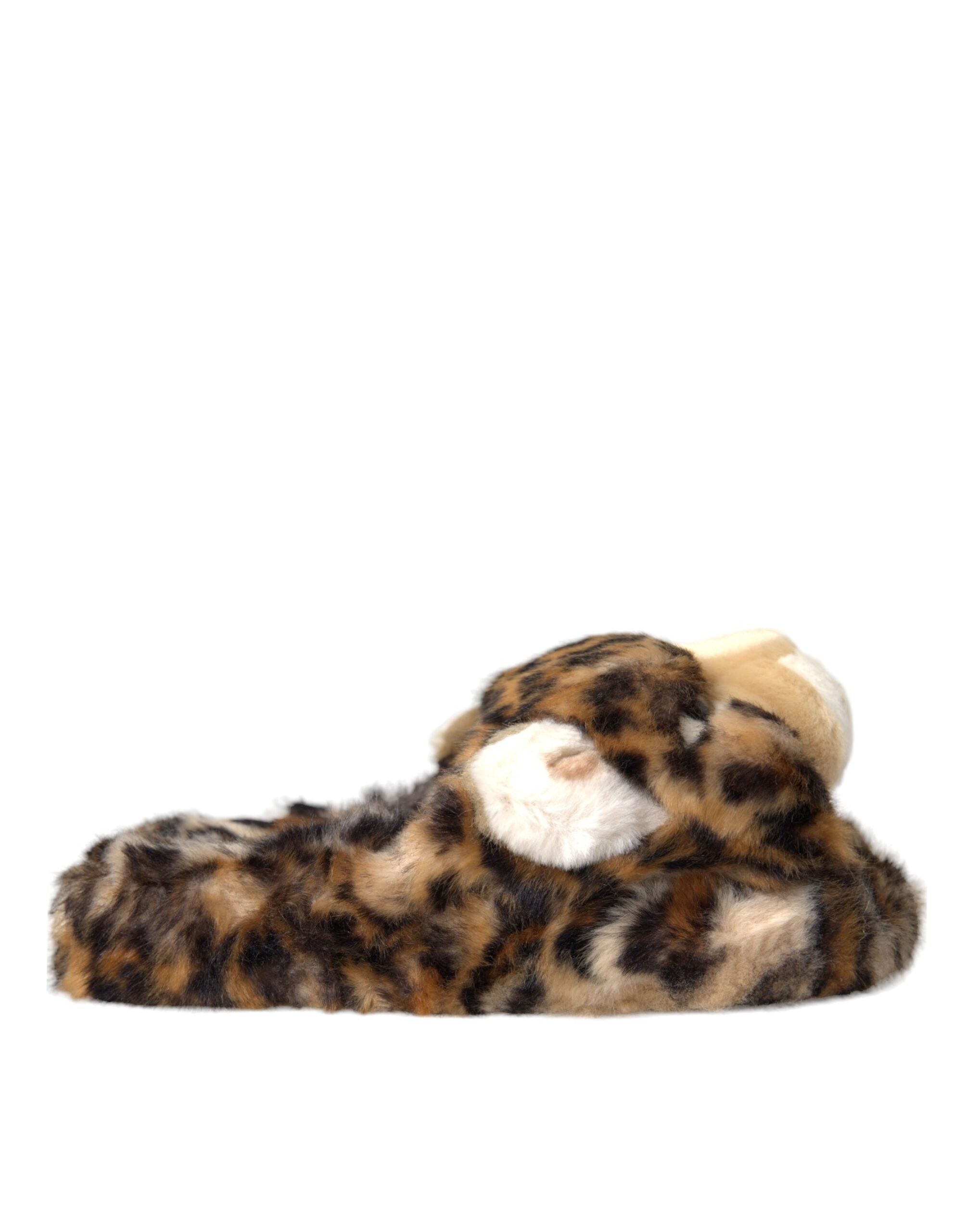 Dolce & Gabbana Brown Tiger Slippers Flats Sandals Women's Shoes