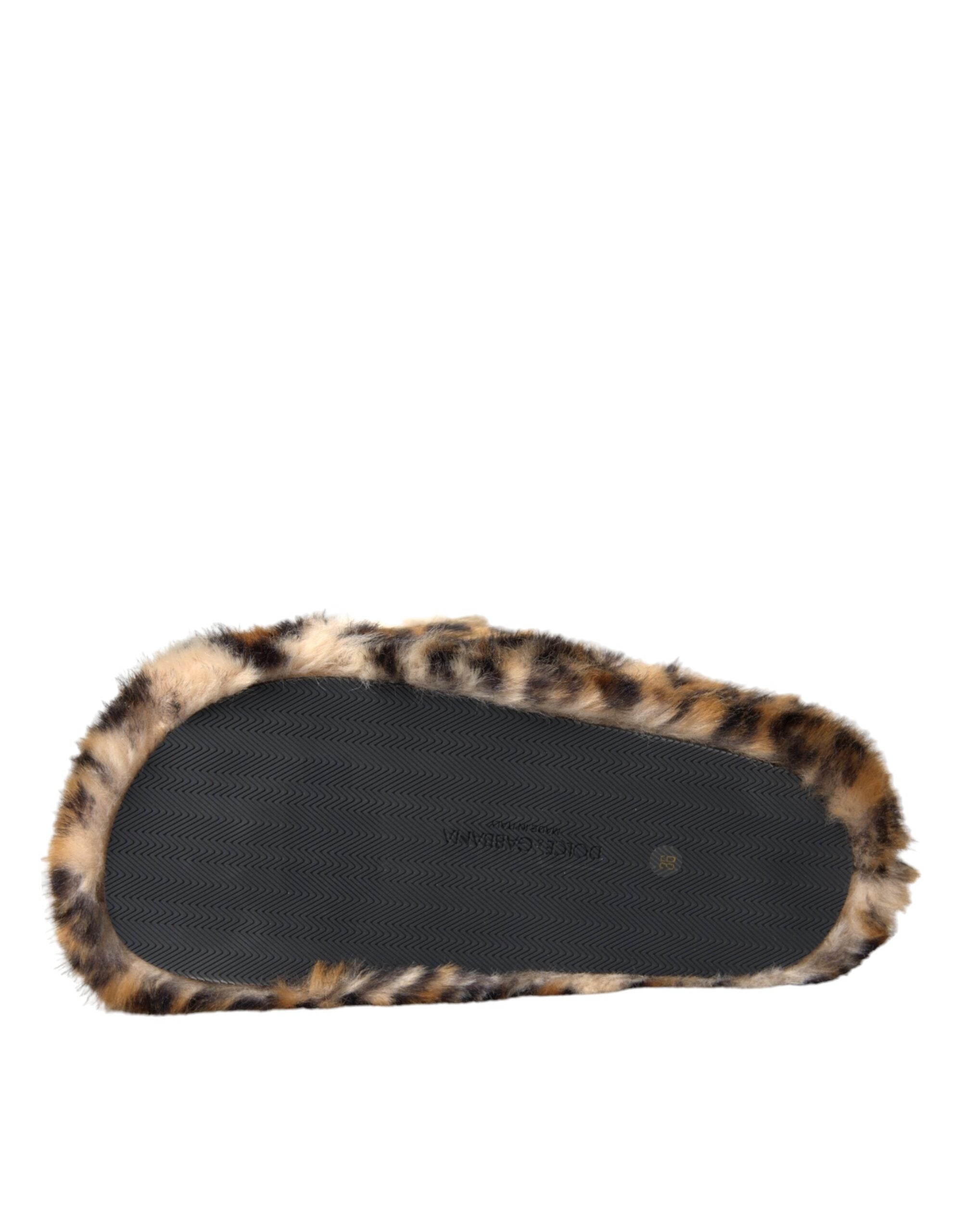 Dolce & Gabbana Brown Tiger Slippers Flats Sandals Women's Shoes