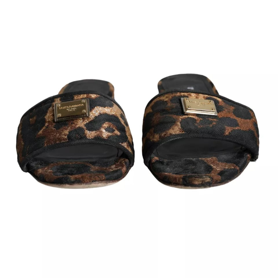 Dolce & Gabbana Brown Leopard Logo Slides Flats Sandals Women's Shoes (Pre-Owned)