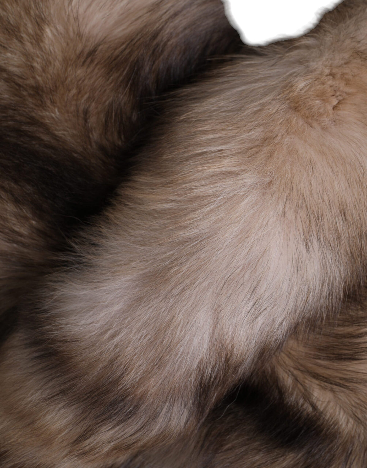 Dolce & Gabbana Brown Frost Fox Fur Neck Warmer Winter Women's Scarf