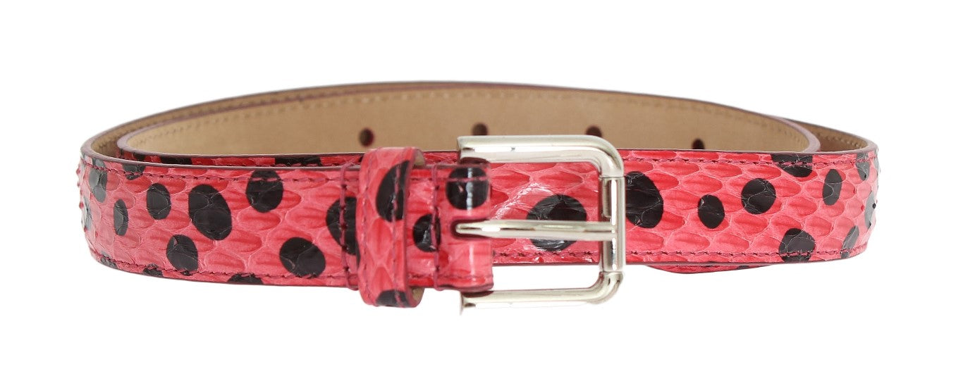 Dolce & Gabbana Polka Dot Snakeskin Belt with Silver Women's Buckle