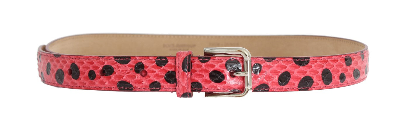 Dolce & Gabbana Polka Dot Snakeskin Belt with Silver Women's Buckle
