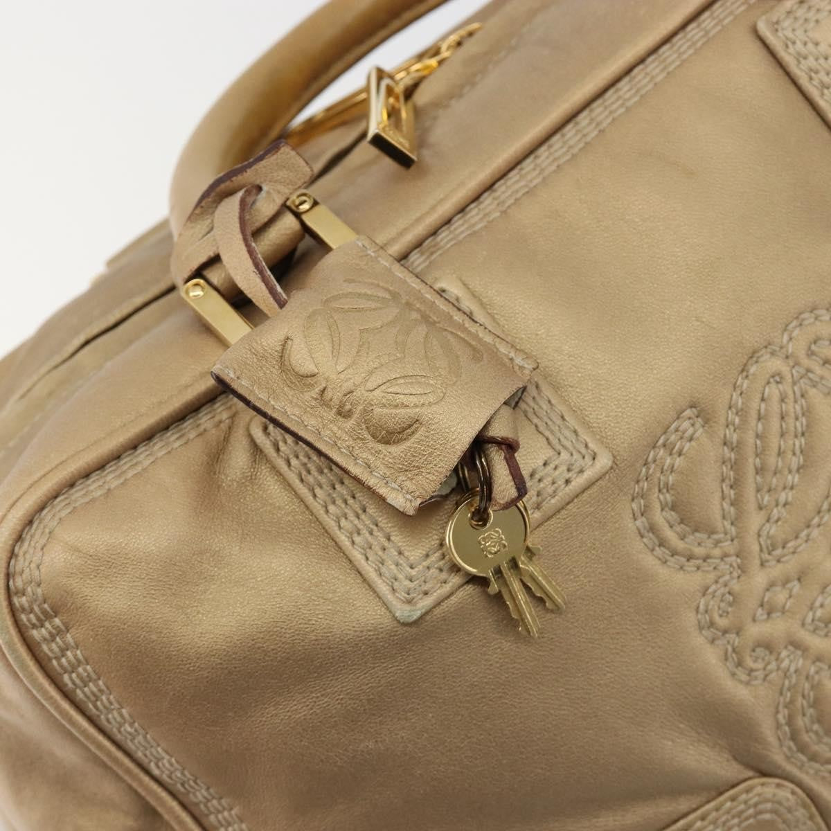 Loewe Amazona Leather Gold Leather Handbag (Pre-Owned)