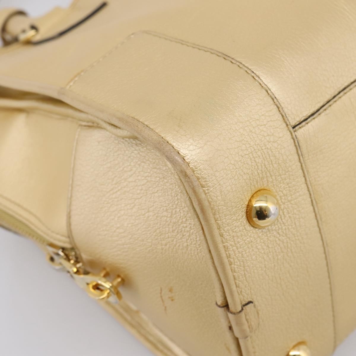 Loewe Amazona Leather Gold Leather Handbag (Pre-Owned)
