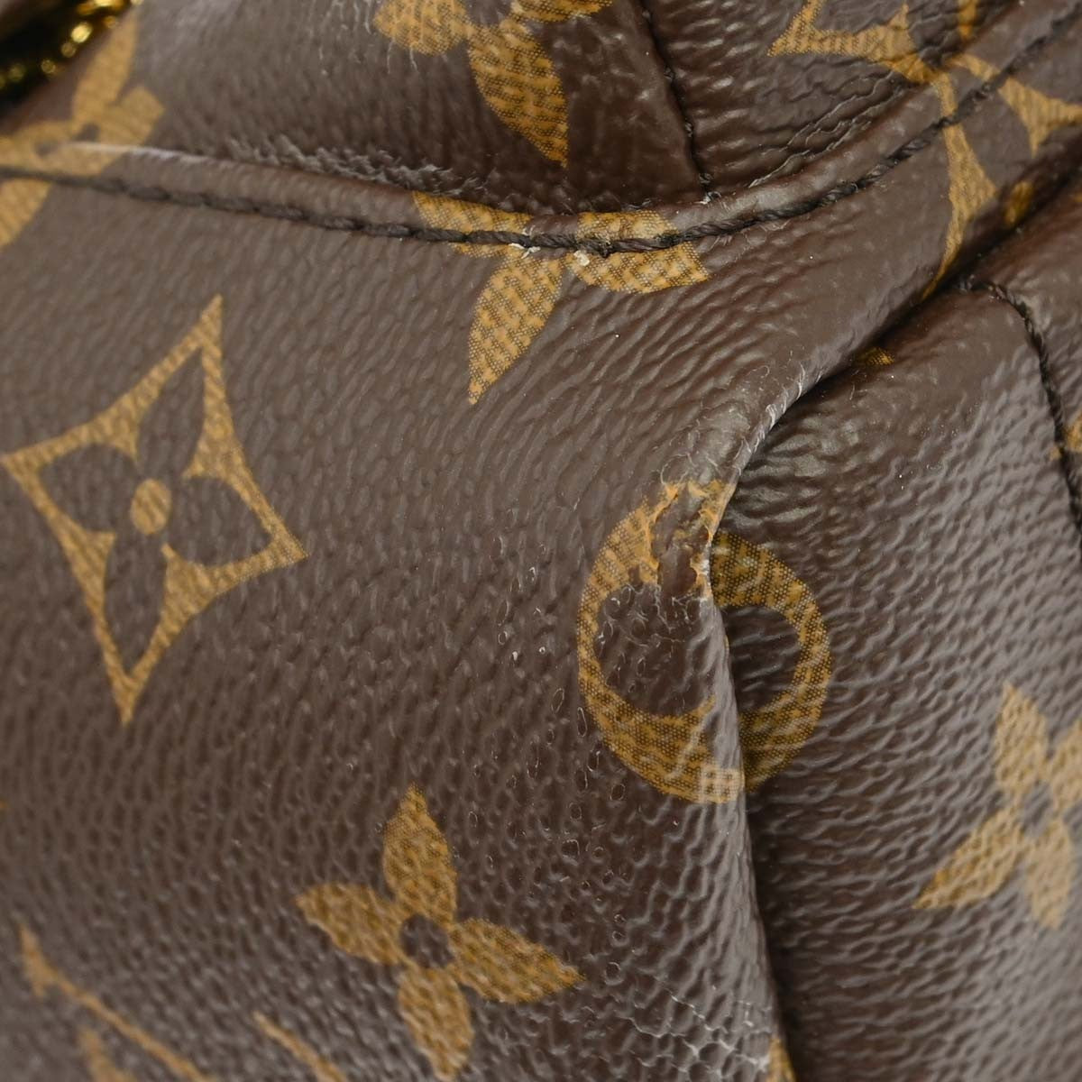 Louis Vuitton Palm Springs Monogram Brown Canvas Backpack Bag (Pre-Owned)