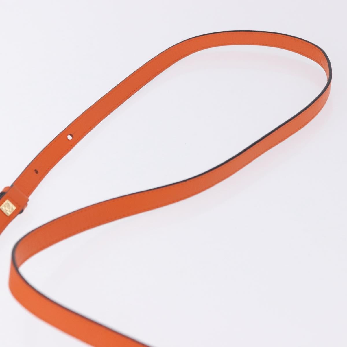 Loewe T Messenger Leather Orange Leather Crossbody Bag Bag (Pre-Owned)