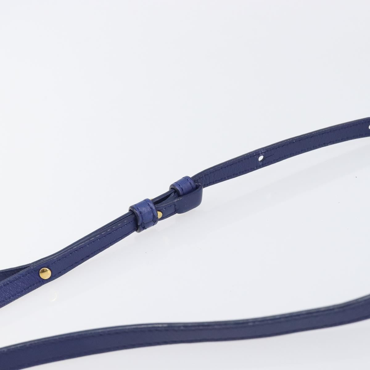 Celine Trio Leather Blue Leather Crossbody Bag Bag (Pre-Owned)