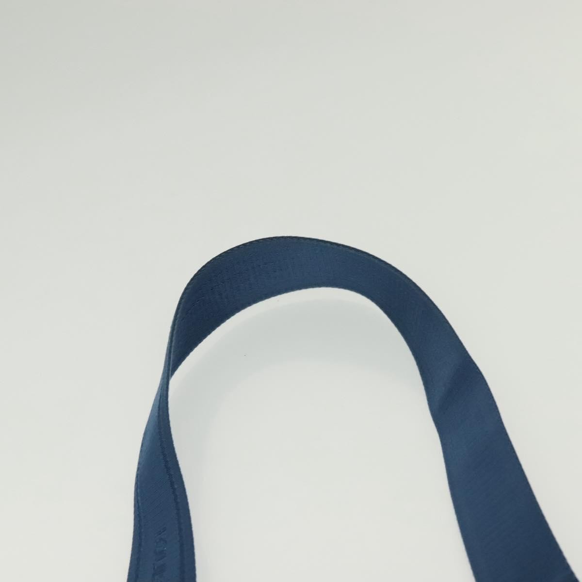 Louis Vuitton Ambler Damier Infini Leather Blue Leather Shoulder Bag Bag (Pre-Owned)