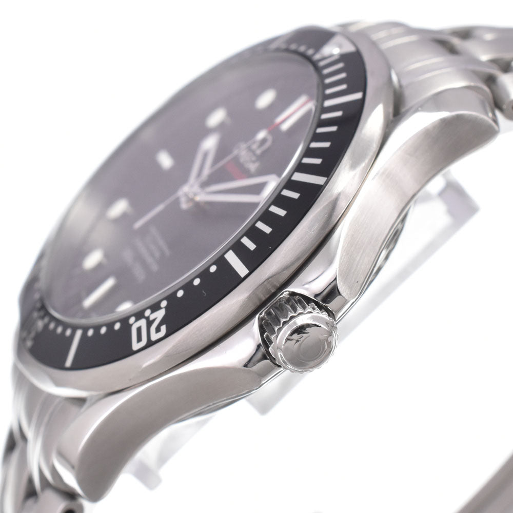 Omega Seamaster Professional Diver 300M Chronometer Automatic Stainless Steel Watch (Pre-Owned)