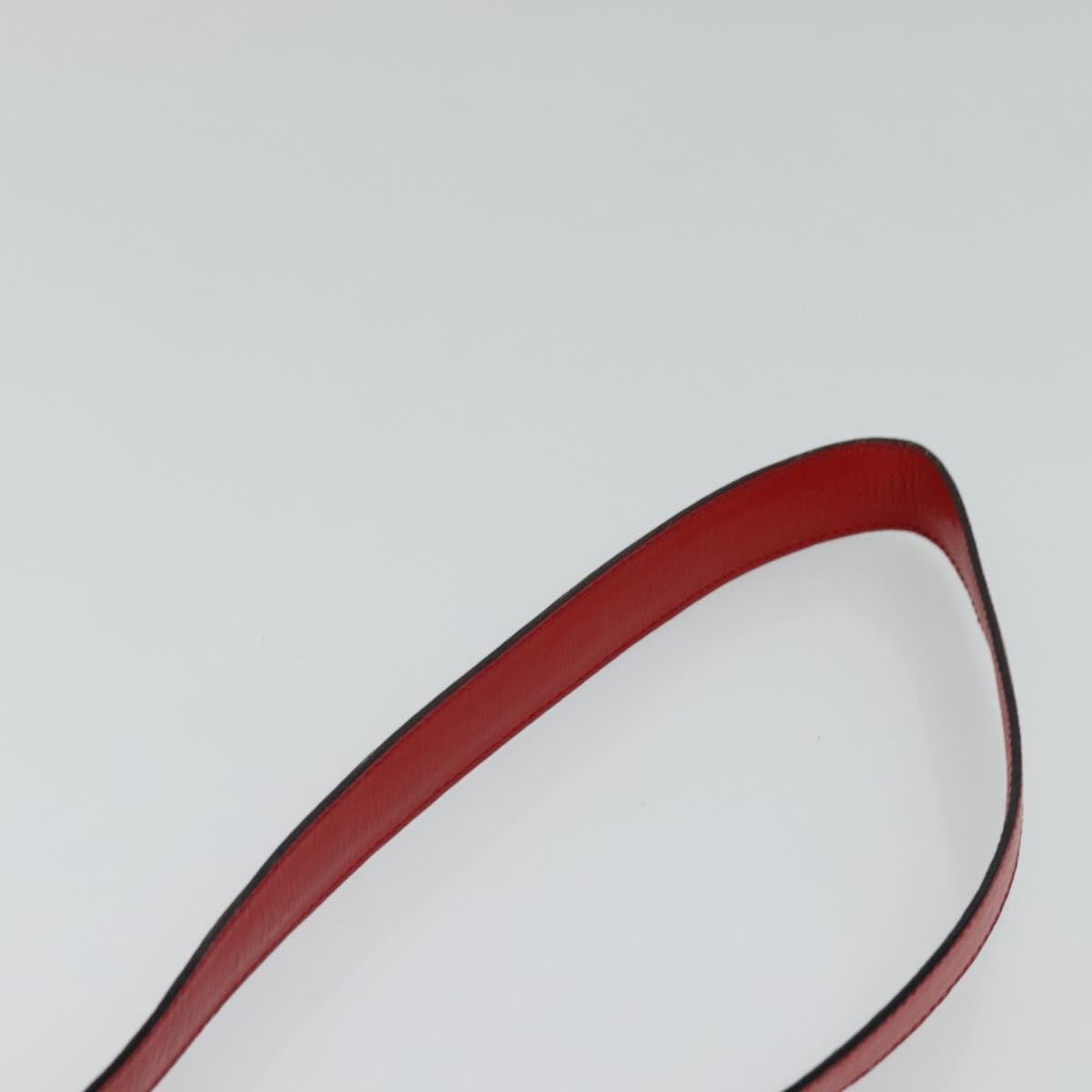Celine Vanity Leather Red Leather Shoulder Bag Bag (Pre-Owned)