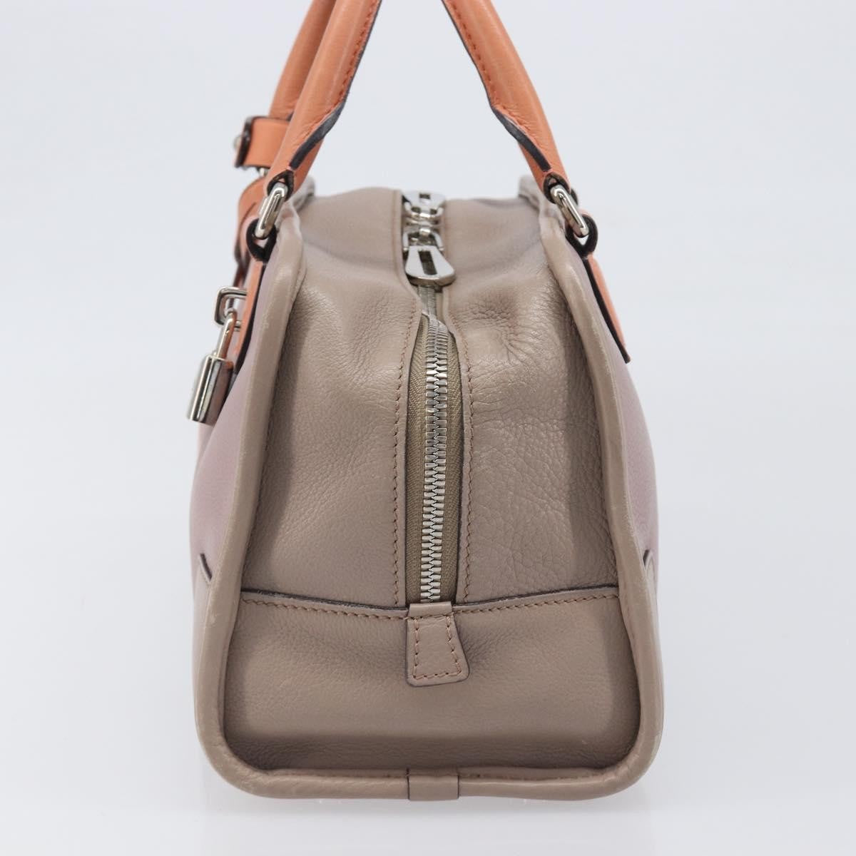 Loewe Amazona Leather Pink Leather Handbag (Pre-Owned)