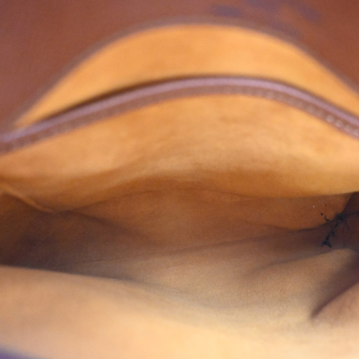 Louis Vuitton Musette Salsa Monogram Canvas Brown Leather Shoulder Bag Bag (Pre-Owned)