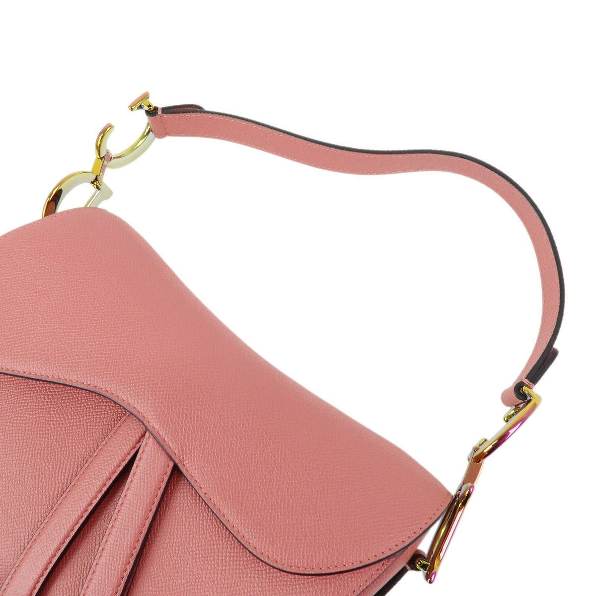 Christian Dior Saddle Embroidered Printed Leather Pink Leather Handbag (Pre-Owned)