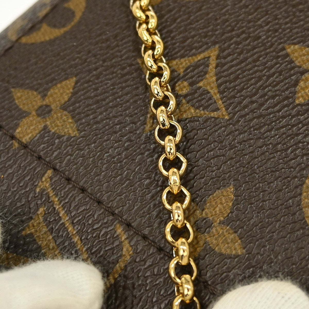 Louis Vuitton Favorite Monogram Canvas Brown Canvas Crossbody Bag Bag (Pre-Owned)